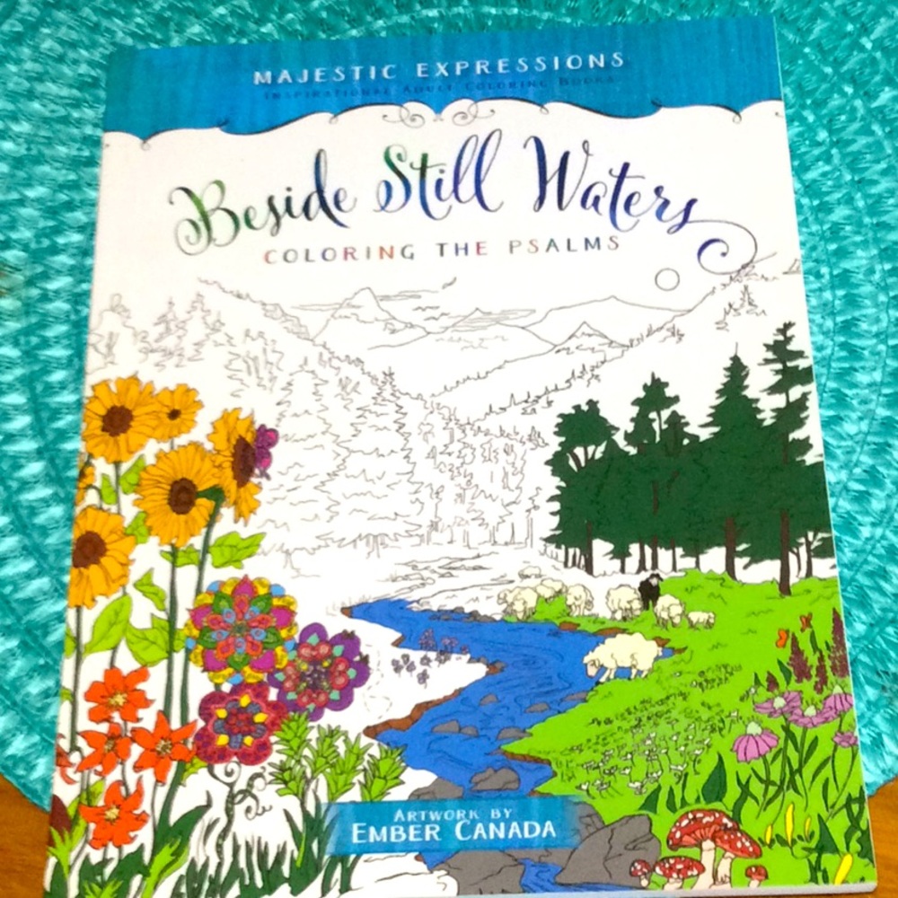 Coloring the Psalms Adult Inspirational color book